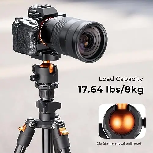K&F Concept 64 inch/163cm Camera Tripod,Lightweight Aluminum Travel Outdoor Tripods with 360 Degree Ball Head Load Capacity 8kg/17.6lbs,Quick Release Plate, for DSLR Cameras K234A0+BH-28L - Image 4
